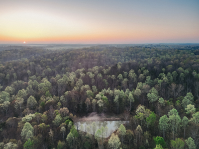 205 Acres of Wildlife, Woods & Water in Nunnelly, TN - image 15