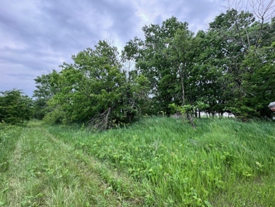 10 Acres To Build Your Home On!  Hamilton Mo - image 1