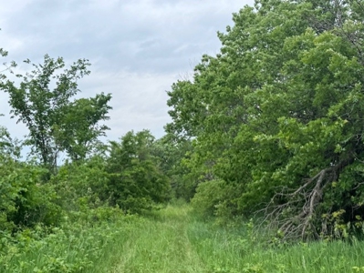 10 Acres To Build Your Home On!  Hamilton Mo - image 3