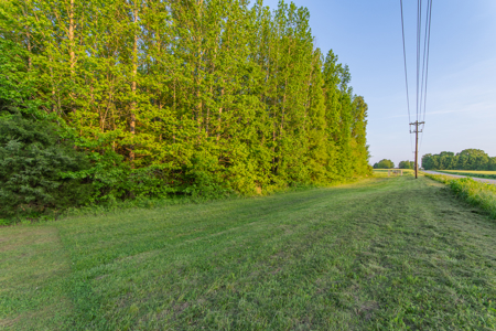 Prime Investment Land for Sale in Henderson, Tennessee - image 9
