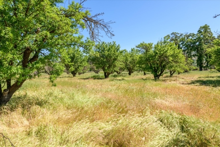 Capay Valley Country Homes & Properties for Sale - image 34