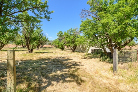 Capay Valley Country Homes & Properties for Sale - image 30
