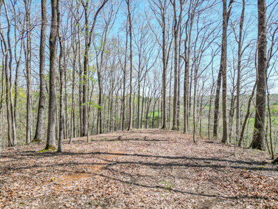 Prime 83.46 Acres in the heart of Centerville, Tennessee - image 9