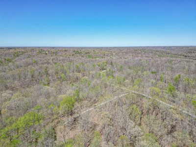 Prime 83.46 Acres in the heart of Centerville, Tennessee - image 28
