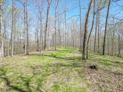 Prime 83.46 Acres in the heart of Centerville, Tennessee - image 17