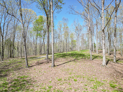 Prime 83.46 Acres in the heart of Centerville, Tennessee - image 14
