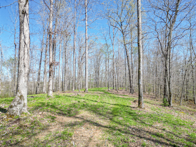 Prime 83.46 Acres in the heart of Centerville, Tennessee - image 19