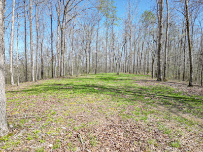 Prime 83.46 Acres in the heart of Centerville, Tennessee - image 20