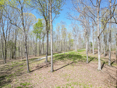 Prime 83.46 Acres in the heart of Centerville, Tennessee - image 15