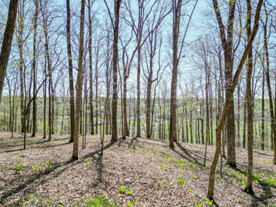 Prime 83.46 Acres in the heart of Centerville, Tennessee - image 5