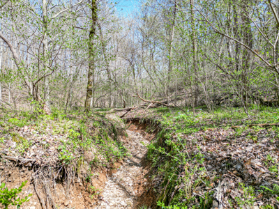 Prime 83.46 Acres in the heart of Centerville, Tennessee - image 23