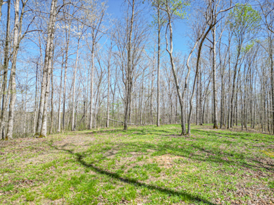 Prime 83.46 Acres in the heart of Centerville, Tennessee - image 18