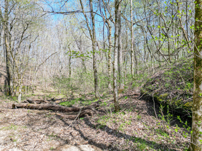 Prime 83.46 Acres in the heart of Centerville, Tennessee - image 24