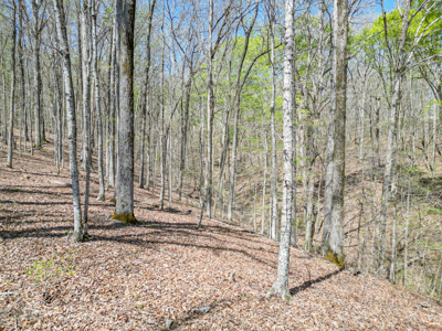 Prime 83.46 Acres in the heart of Centerville, Tennessee - image 10