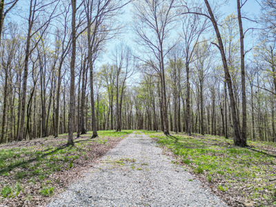 Prime 83.46 Acres in the heart of Centerville, Tennessee - image 16