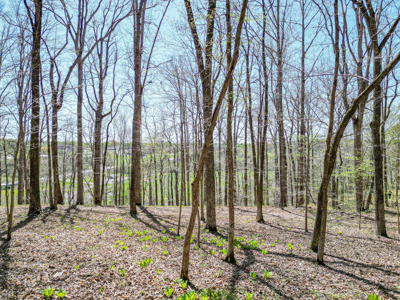 Prime 83.46 Acres in the heart of Centerville, Tennessee - image 6