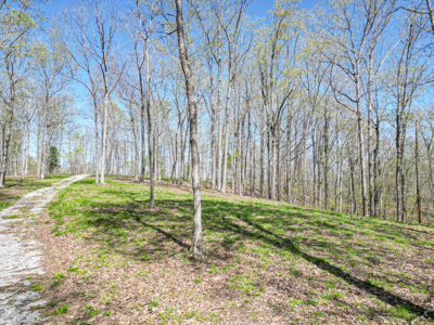 Prime 83.46 Acres in the heart of Centerville, Tennessee - image 13