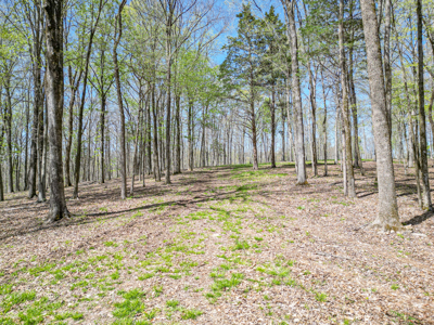 Prime 83.46 Acres in the heart of Centerville, Tennessee - image 12