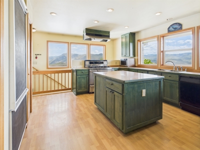 Cabin and Land for Sale in White Bird, Idaho - image 1