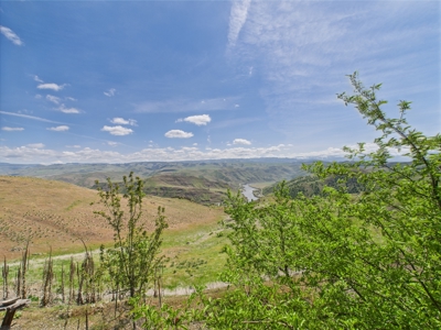 Cabin and Land for Sale in White Bird, Idaho - image 39
