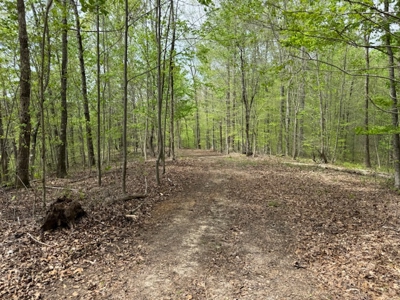 Scenic Retreat Near Dale Hollow Lake – A Rare Opportunity! - image 29