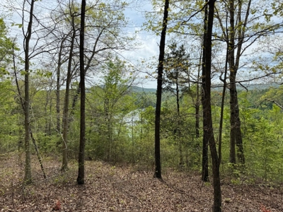 Scenic Retreat Near Dale Hollow Lake – A Rare Opportunity! - image 28