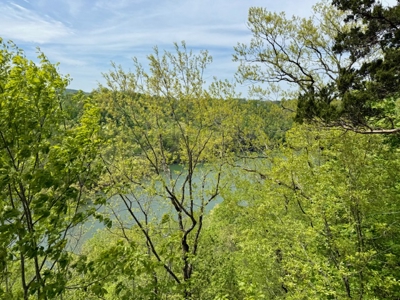 Scenic Retreat Near Dale Hollow Lake – A Rare Opportunity! - image 30