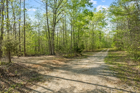 Scenic Retreat Near Dale Hollow Lake – A Rare Opportunity! - image 15