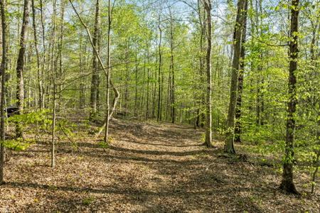 Scenic Retreat Near Dale Hollow Lake – A Rare Opportunity! - image 16