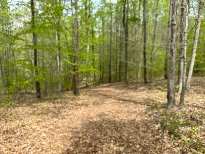 Scenic Retreat Near Dale Hollow Lake – A Rare Opportunity! - image 32