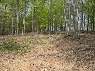 Scenic Retreat Near Dale Hollow Lake – A Rare Opportunity! - image 27