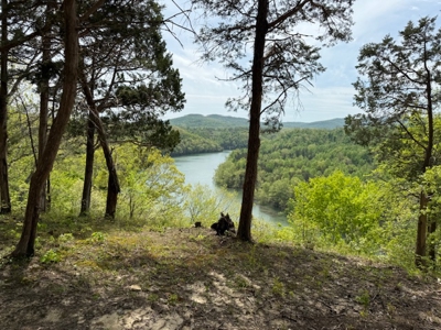 Scenic Retreat Near Dale Hollow Lake – A Rare Opportunity! - image 31