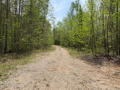 Scenic Retreat Near Dale Hollow Lake – A Rare Opportunity! - image 36