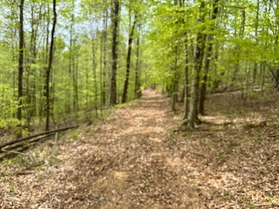 Scenic Retreat Near Dale Hollow Lake – A Rare Opportunity! - image 34