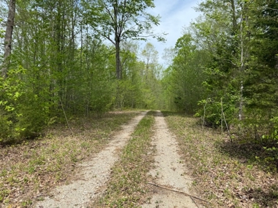 Scenic Retreat Near Dale Hollow Lake – A Rare Opportunity! - image 35