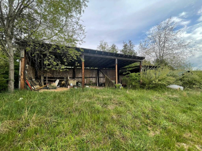 12 Acres For Sale In Wytheville VA – The Perfect Homesite Awaits - image 10