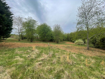 12 Acres For Sale In Wytheville VA – The Perfect Homesite Awaits - image 4