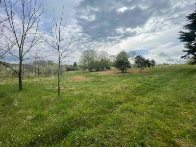 12 Acres For Sale In Wytheville VA – The Perfect Homesite Awaits - image 14