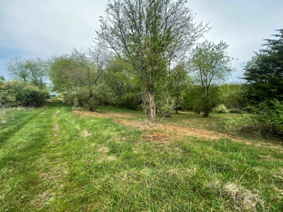 12 Acres For Sale In Wytheville VA – The Perfect Homesite Awaits - image 6