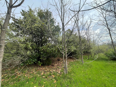12 Acres For Sale In Wytheville VA – The Perfect Homesite Awaits - image 8