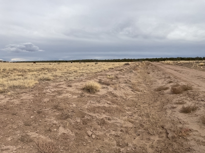 Ranchland for Sale in Northeastern Arizona borders Public Land - image 5