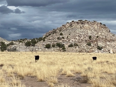 Ranchland for Sale in Northeastern Arizona borders Public Land - image 8