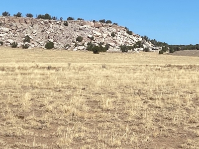 Ranchland for Sale in Northeastern Arizona borders Public Land - image 10
