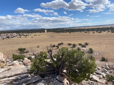 Ranchland for Sale in Northeastern Arizona borders Public Land - image 1