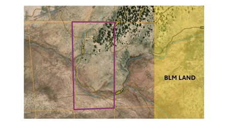 Northeastern Arizona Large Acreage for Sale - image 2