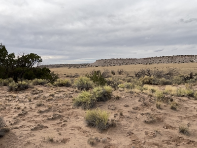 Northeastern Arizona Large Acreage for Sale - image 3
