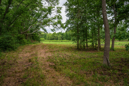 6 Acre East Texas Retreat with Barndo and Pond - image 43