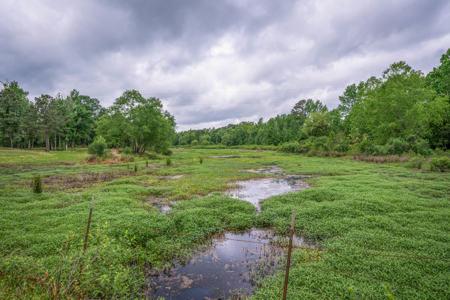6 Acre East Texas Retreat with Barndo and Pond - image 35