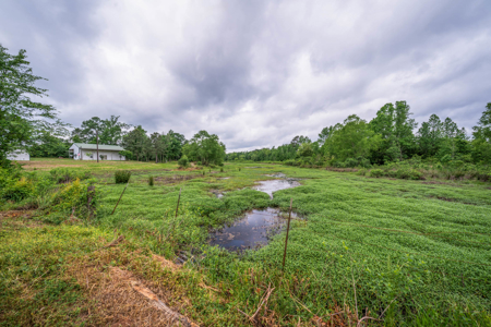 6 Acre East Texas Retreat with Barndo and Pond - image 39