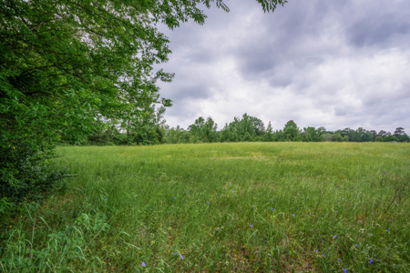 6 Acre East Texas Retreat with Barndo and Pond - image 38